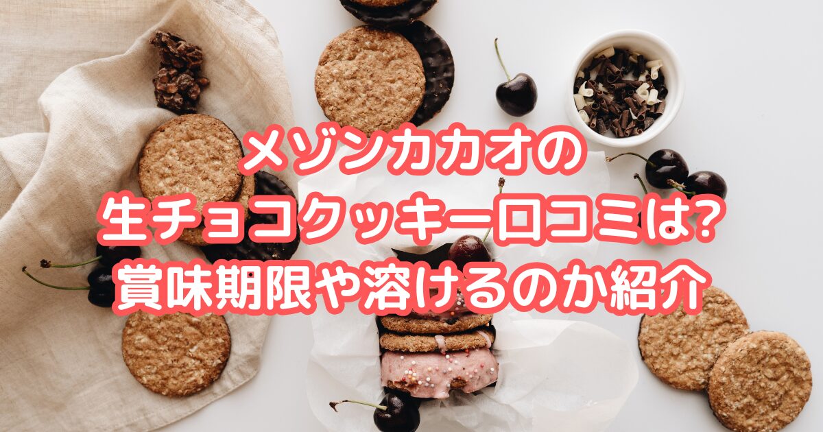 メゾンカカオ 生チョコクッキー 口コミ